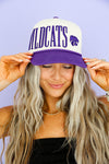 Wildcats Embroidered Hat
