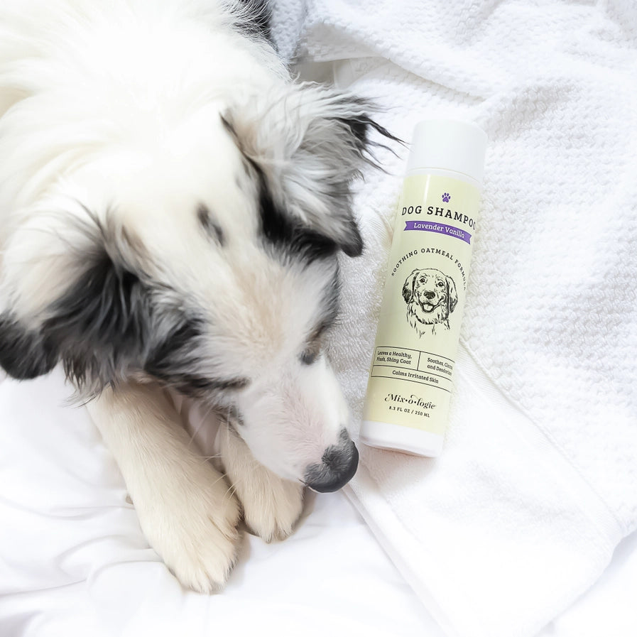 Mixologie Dog Shampoo