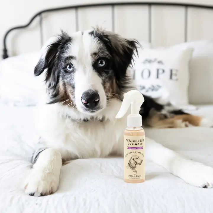 PREORDER: Mixologie Waterless Dog Spray Wash