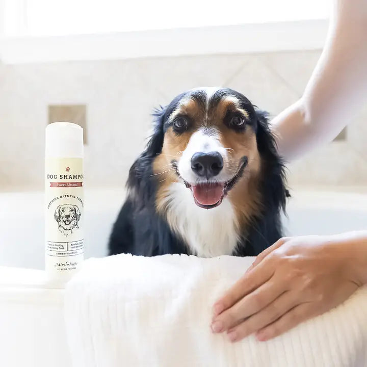 Mixologie Dog Shampoo