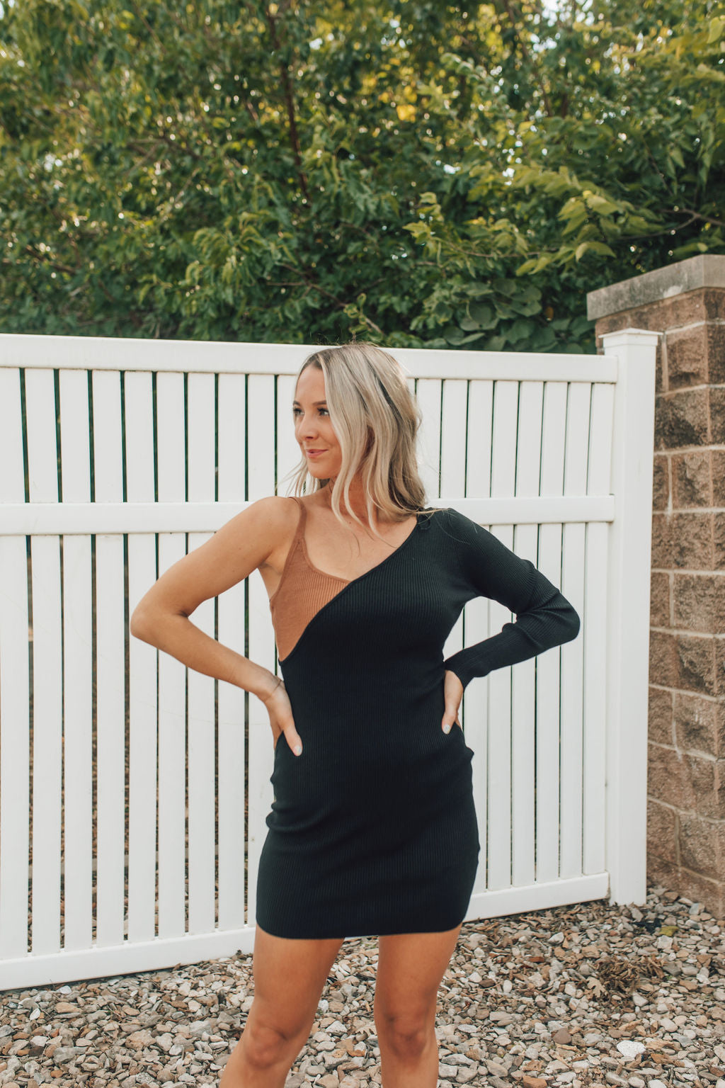 Worth A Shot Two-Toned Dress